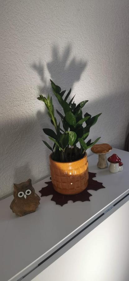 Ruhige Sout. Whg. Feldrandnaehe Apartment Seligenstadt Luaran gambar